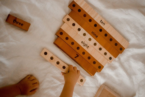 QTOYS - 2 Tone Counting Math Set